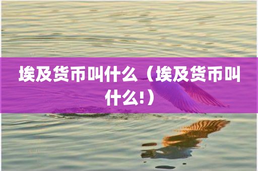 埃及货币叫什么（埃及货币叫什么!）
