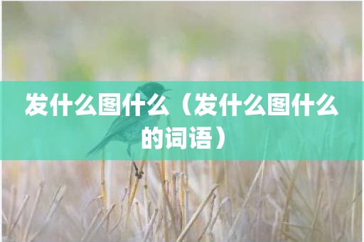 发什么图什么（发什么图什么的词语）