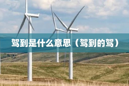 驾到是什么意思（驾到的驾）
