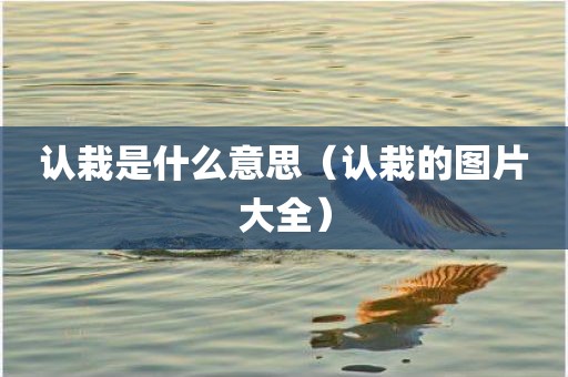 认栽是什么意思（认栽的图片大全）