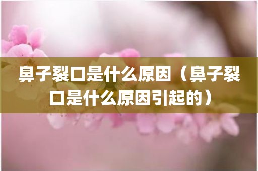 鼻子裂口是什么原因（鼻子裂口是什么原因引起的）