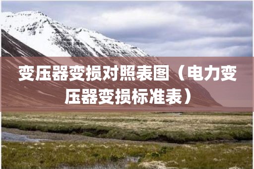 变压器变损对照表图（电力变压器变损标准表）