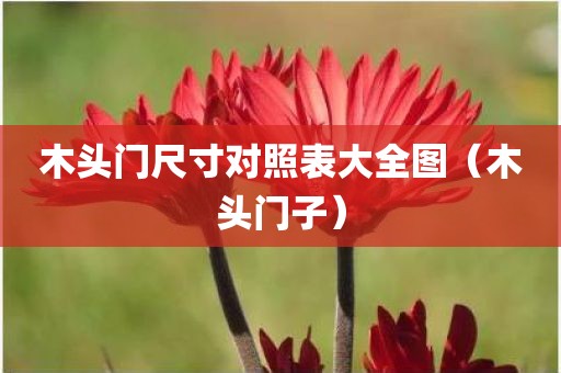 木头门尺寸对照表大全图（木头门子）
