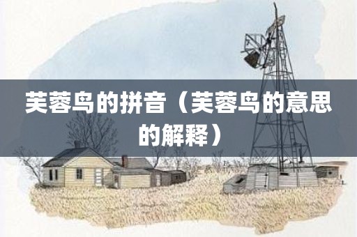 芙蓉鸟的拼音(芙蓉鸟的意思的解释)
