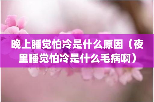 晚上睡觉怕冷是什么原因(夜里睡觉怕冷是什么毛病啊) 晚上睡觉怕冷是什么原因(夜里睡觉怕冷是什么毛病啊)