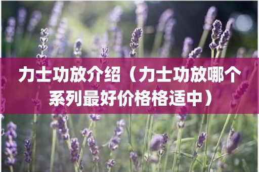 力士功放介绍(力士功放哪个系列最好价格格适中)