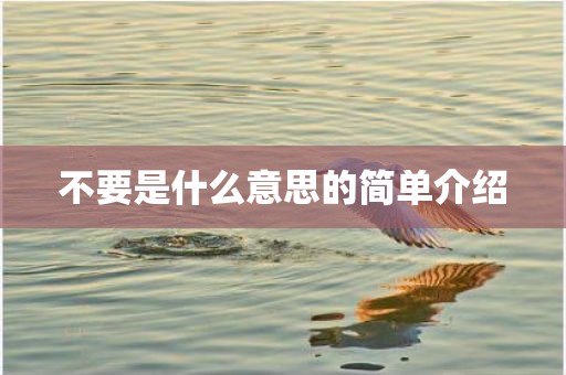 不要是什么意思的简单介绍