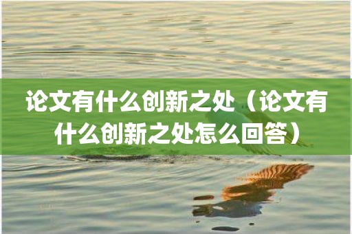 论文有什么创新之处（论文有什么创新之处怎么回答）