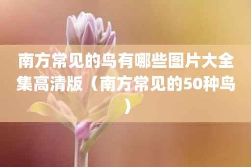 南方常见的鸟有哪些图片大全集高清版（南方常见的50种鸟）