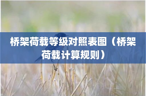 桥架荷载等级对照表图（桥架荷载计算规则）
