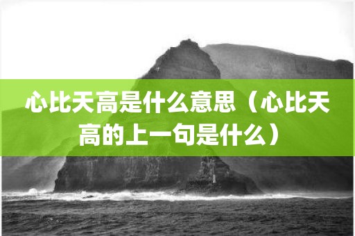 心比天高是什么意思（心比天高的上一句是什么）