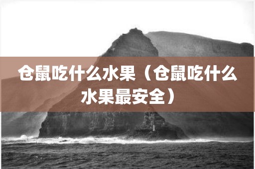 仓鼠吃什么水果(仓鼠吃什么水果最安全)