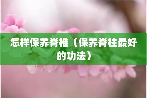 怎样保养脊椎（保养脊柱最好的功法）