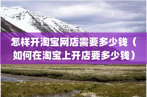 怎样开淘宝网店需要多少钱（如何在淘宝上开店要多少钱）