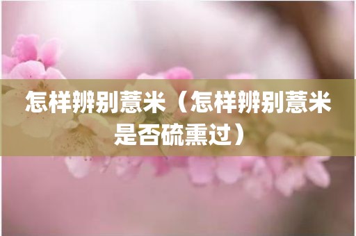 怎样辨别薏米（怎样辨别薏米是否硫熏过）