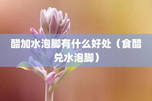 醋加水泡脚有什么好处（食醋兑水泡脚）