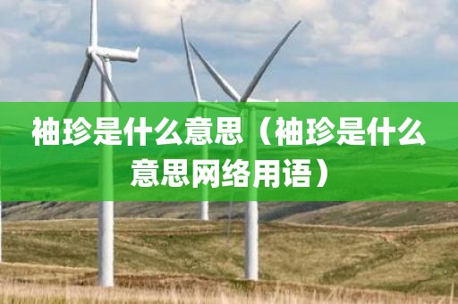 袖珍是什么意思（袖珍是什么意思网络用语）