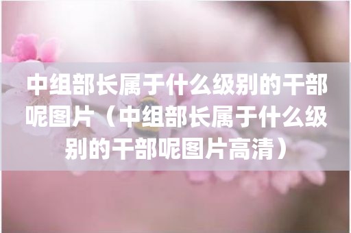 中组部长属于什么级别的干部呢图片（中组部长属于什么级别的干部呢图片高清）