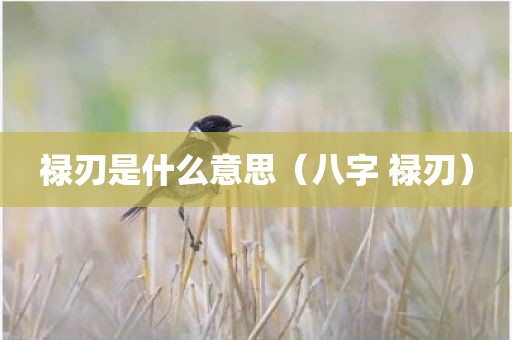 禄刃是什么意思（八字 禄刃）