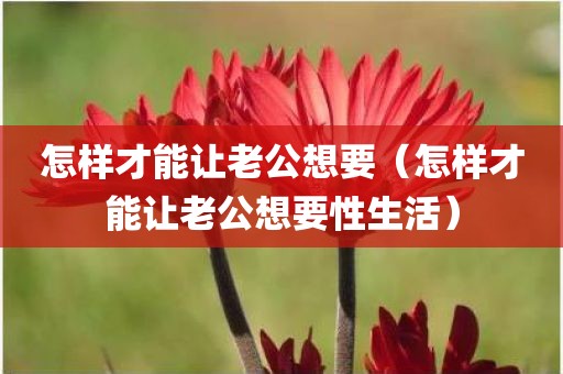 怎样才能让老公想要（怎样才能让老公想要性生活）
