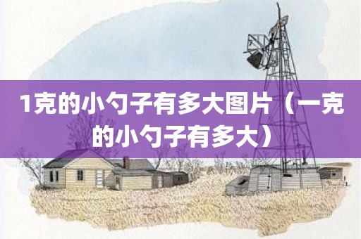 1克的小勺子有多大图片（一克的小勺子有多大）