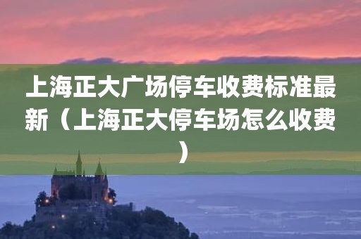 上海正大广场停车收费标准最新(上海正大停车场怎么收费)