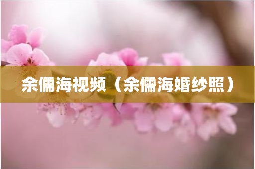 余儒海视频（余儒海婚纱照）