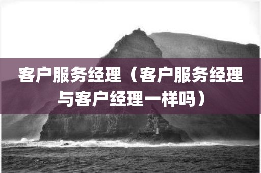 客户服务经理(客户服务经理与客户经理一样吗)