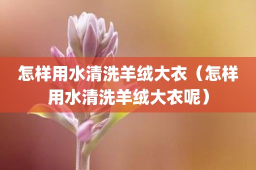 怎样用水清洗羊绒大衣（怎样用水清洗羊绒大衣呢）