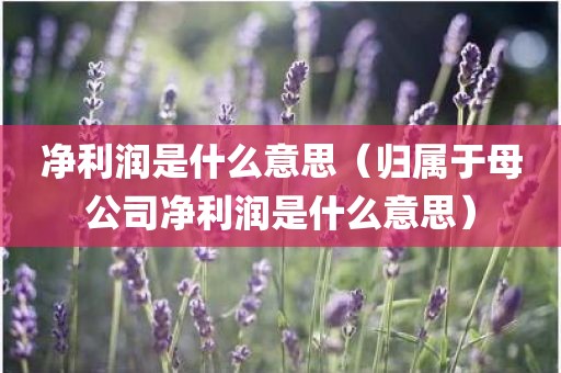 净利润是什么意思（归属于母公司净利润是什么意思）