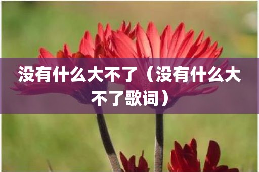 没有什么大不了（没有什么大不了歌词）