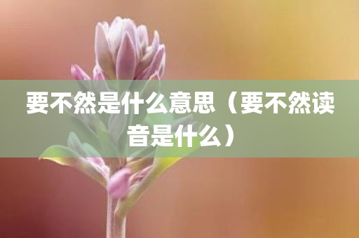 要不然是什么意思（要不然读音是什么）