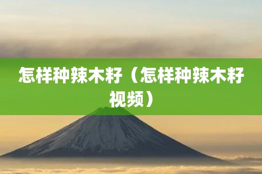 怎样种辣木籽（怎样种辣木籽视频）