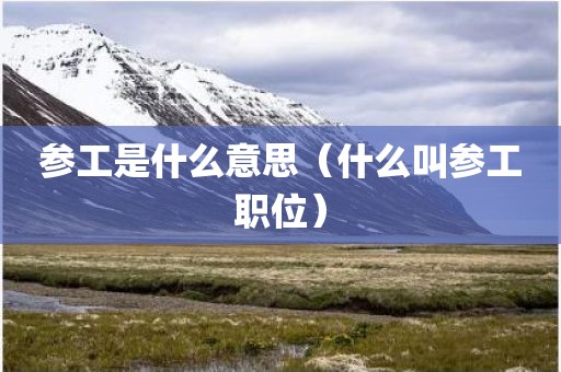 参工是什么意思（什么叫参工职位）