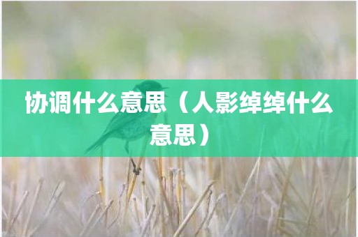 协调什么意思（人影绰绰什么意思）