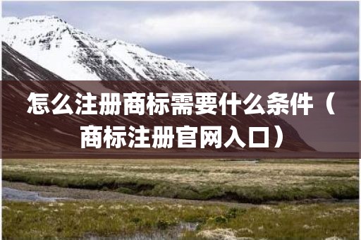 怎么注册商标需要什么条件（商标注册官网入口）