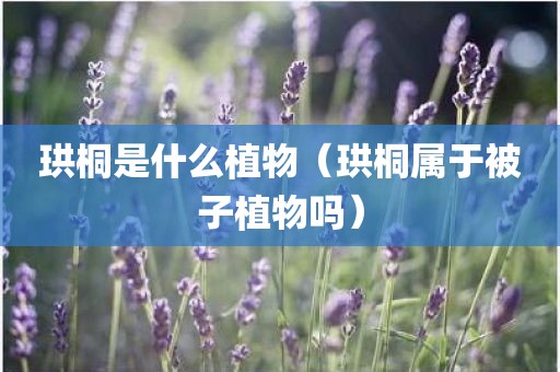 珙桐是什么植物（珙桐属于被子植物吗）