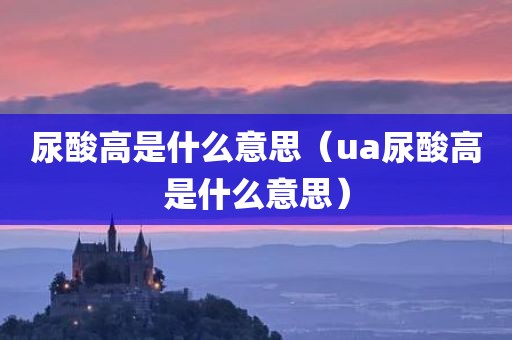 尿酸高是什么意思（ua尿酸高是什么意思）