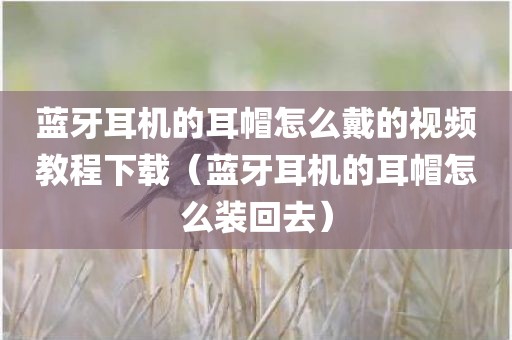 蓝牙耳机的耳帽怎么戴的视频教程下载（蓝牙耳机的耳帽怎么装回去）