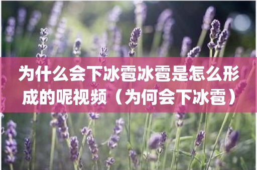 为什么会下冰雹冰雹是怎么形成的呢视频（为何会下冰雹）