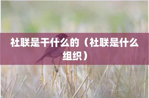 社联是干什么的（社联是什么组织）