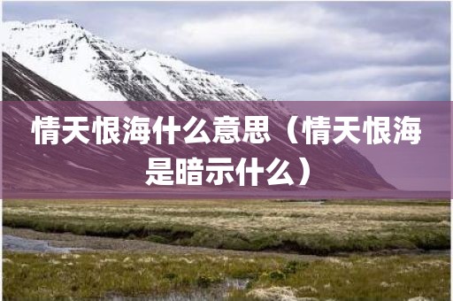 情天恨海什么意思（情天恨海是暗示什么）