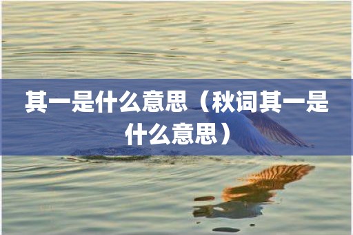 其一是什么意思（秋词其一是什么意思）