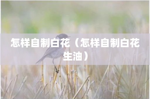 怎样自制白花（怎样自制白花生油）
