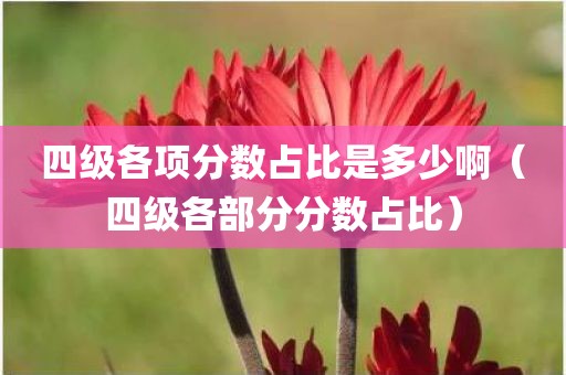 四级各项分数占比是多少啊（四级各部分分数占比）