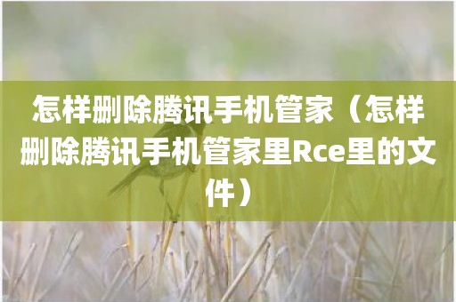 怎样删除腾讯手机管家（怎样删除腾讯手机管家里Rce里的文件）