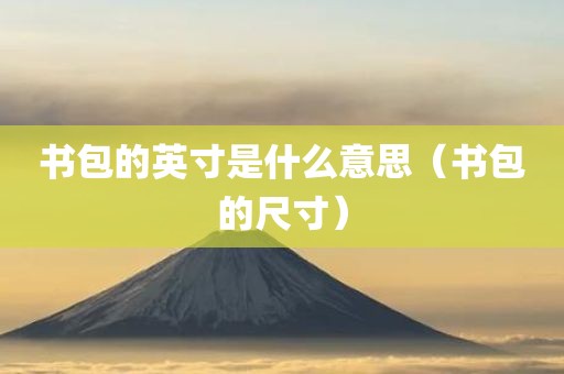 书包的英寸是什么意思（书包的尺寸）