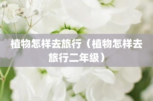 植物怎样去旅行（植物怎样去旅行二年级）