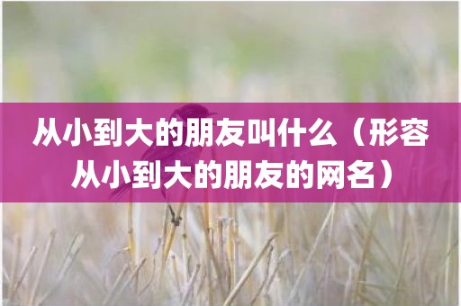 从小到大的朋友叫什么（形容从小到大的朋友的网名）