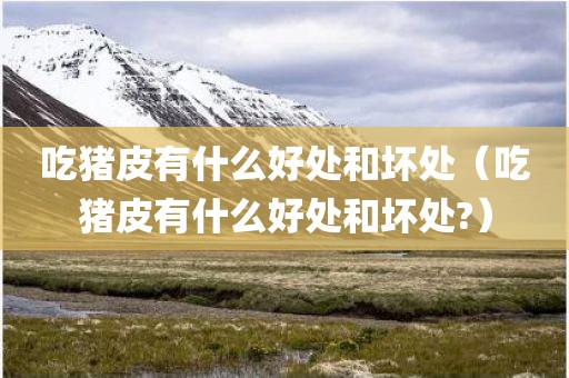 吃猪皮有什么好处和坏处（吃猪皮有什么好处和坏处?）